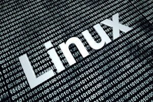 Dos vulnerabilidades críticas en el kernel Linux permiten escalación de privilegios local